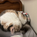 IMG_0303%20%281%29.JPG