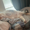 IMG_0309%20%281%29.JPG