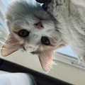 IMG_0606.HEIC