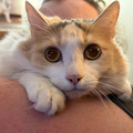 IMG_8976 (1).HEIC
