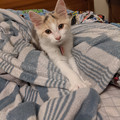 PXL_20201008_040949572%20%283%29.jpg