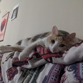 PXL_20220106_044614965%20%281%29.jpg